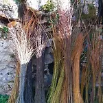 L'oseraie Du Quercy 3*
